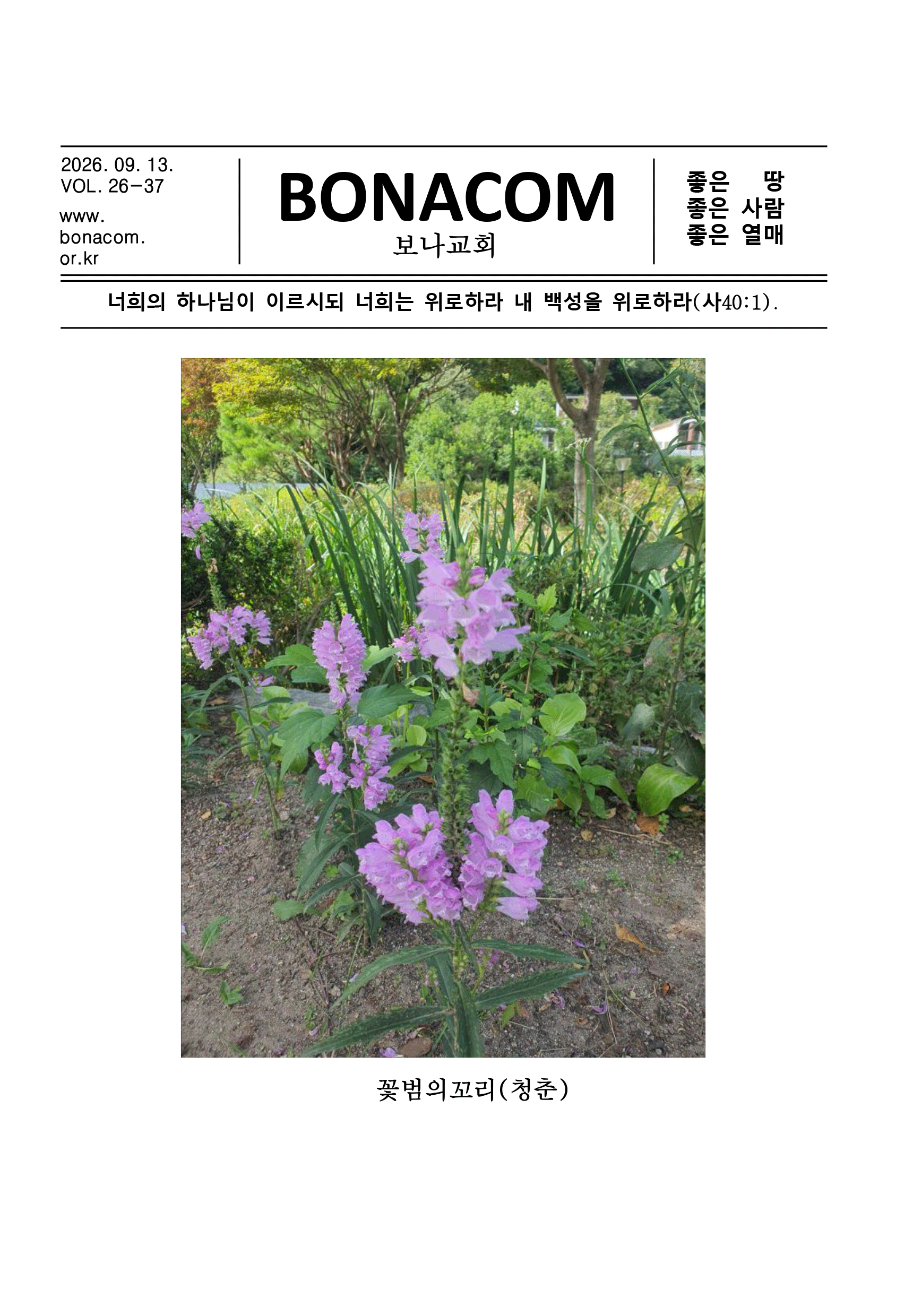 주보1.gif
