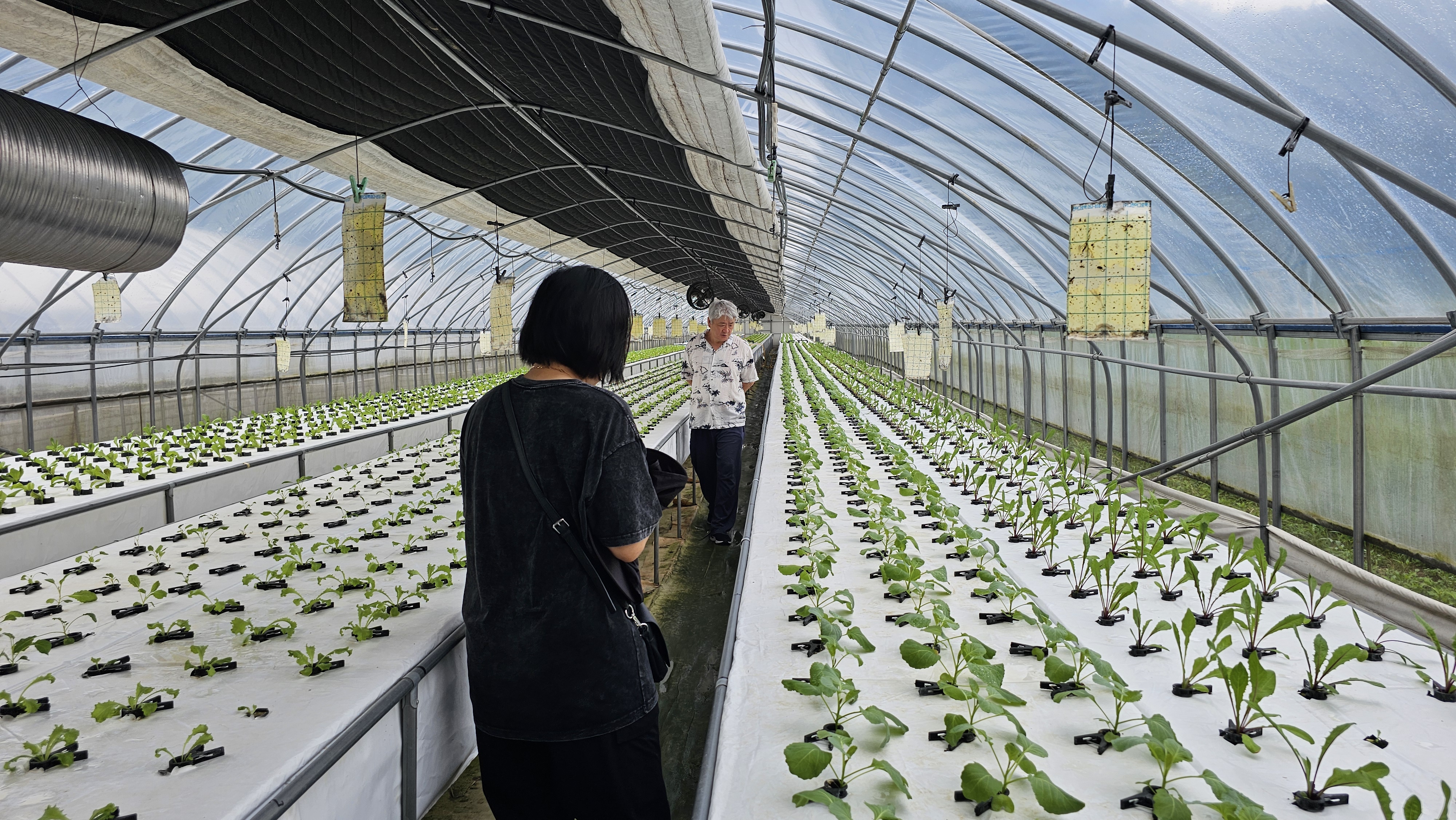 20250804_마을돌아보기3.jpg